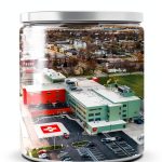 St. Martin's Press Healthcare Policy eBook – 313 Pages, Kindle Edition-0